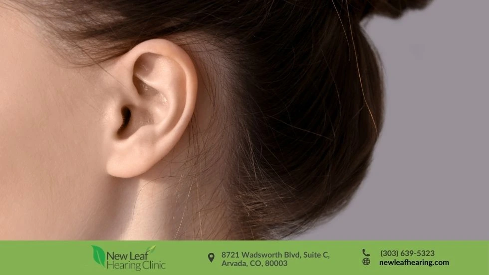 Hearing aid with tinnitus sound therapy programming at New Leaf Hearing Care